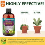 Premium Liquid Spider Plant Fertilizer - 3-1-2 Concentrate for Indoor Plants and Flowers by Gardenera | Organic Plant Food for Spider Plants - 8oz