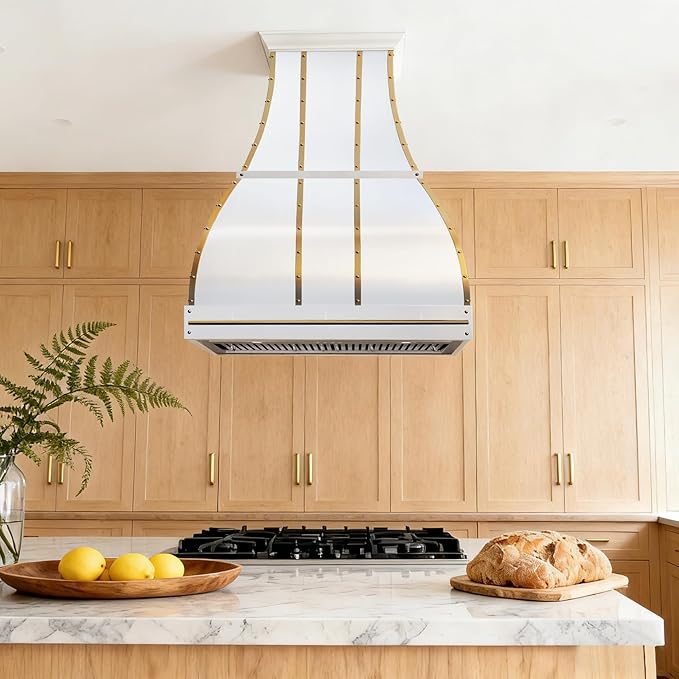 CHETTO C Stainless Steel Range Hood Cover with 4-Speed Vent Hood Insert Custom Handcrafted Metal Kitchen Fan with Towel Rack LED Light 60"W x27"D x54"H White Island Mount