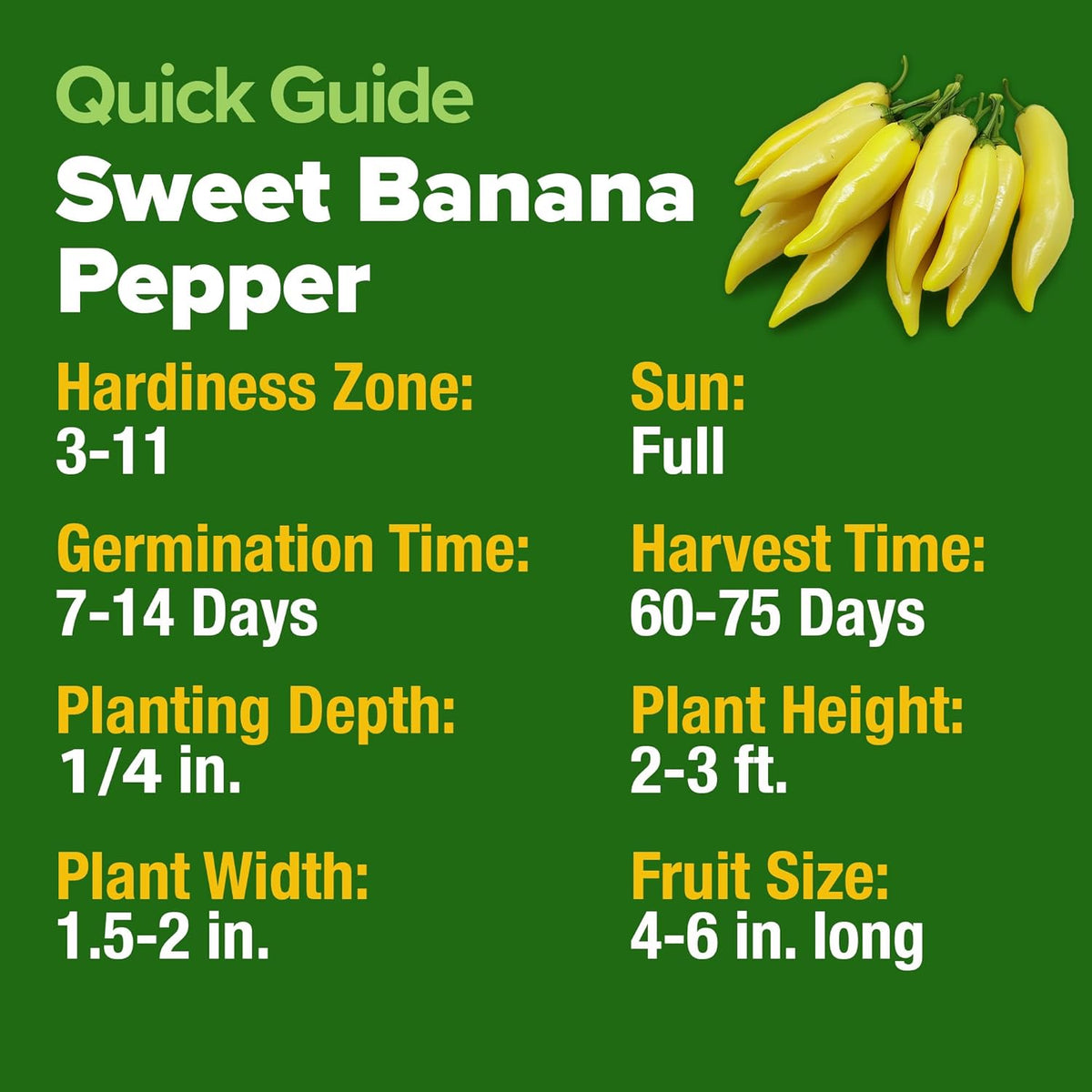 HOME GROWN 𝗨𝗦𝗔 𝗣𝗥𝗘𝗠𝗜𝗨𝗠 Banana Pepper Seeds Pack – 94 𝗡𝗢𝗡-𝗚𝗠𝗢 Heirloom Vegetable Seeds – High Germination Sweet Peppers for Planting Indoors or Outdoor Garden (Capsicum annuum) (1pack)