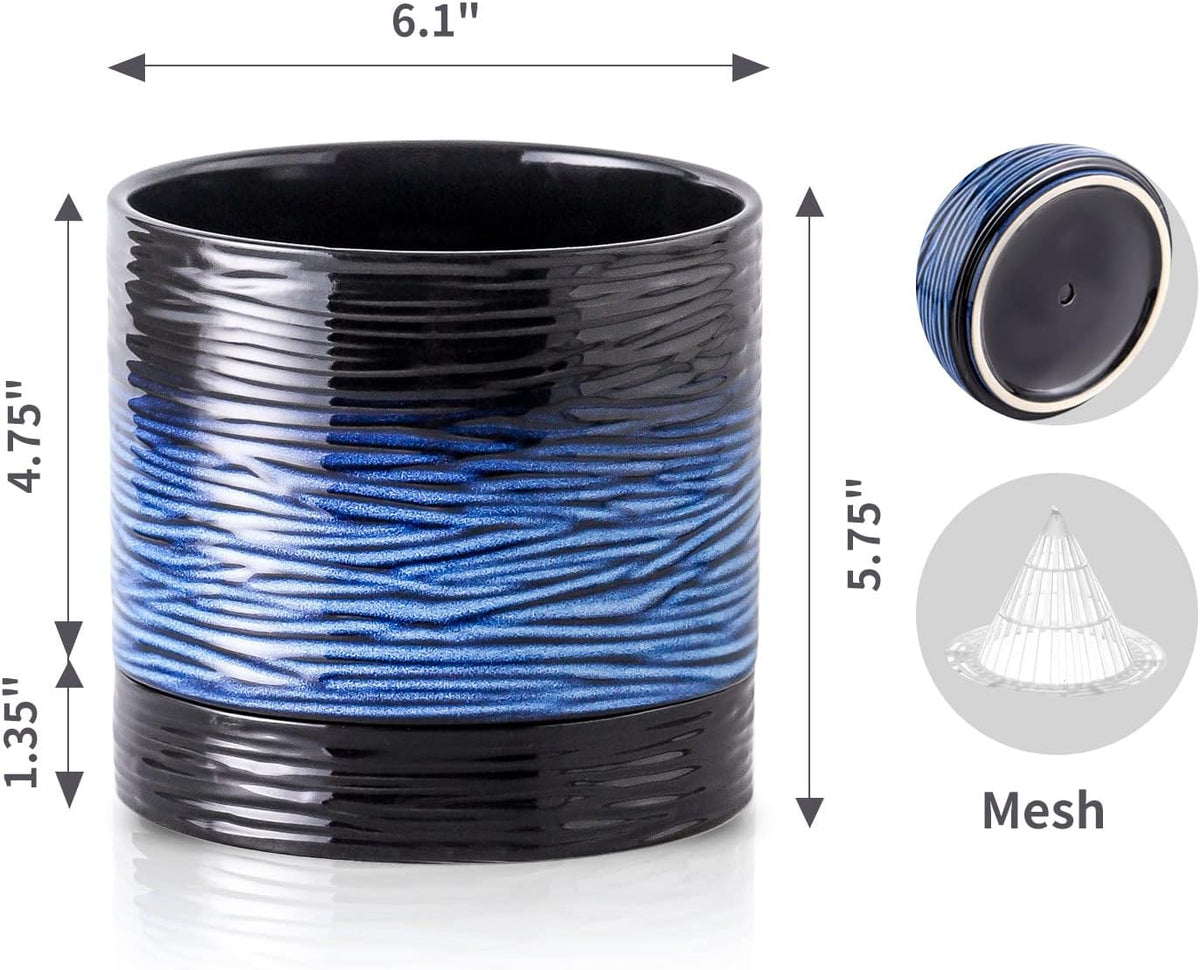 Nihow Ceramic Plant Pot: 6 Inch Planter with Drainage Hole & Saucer for Indoor & Outdoor Plants - Cylinder Round Flower Pot for Succulent/Herbs/Violets - Black & Vivid Blue