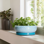Bonsai Pots - 13 Inch Ceramic Succulent Pots with Drainage Hole and Tray, Large Succulent Planter Indoor Outdoor, Round Planter, Shallow Plant Pot, House Decor, Gifts for Plant Lover, Blue