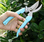 5pcs Garden Flower Shears Pruning Shears 6.9 inches Scissors Heavy Duty Plant Scissors for Cutting Flowers, Trimming Plants, Bonsai, Fruits Picking (Blue Handle 5pcs)