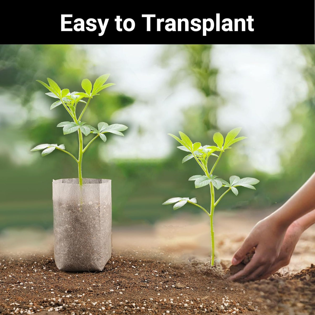 Plant Grow Bags, 200pcs Plant Nursery Bag 5.5 x6.3 inches, Fabric Seedling Pots Plant Pots for Potato, Flower, Tomato Plant Starts & Clones, Home Gardening Supply
