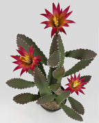 33 Inch Large Artificial Cactus with Magenta Flowers in Pot with Natural Gravel. Satin Finish Leaves with Real Look and Feel. Outdoor and Indoor Faux Plants.