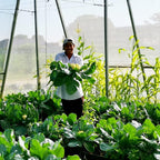 Garden Netting Pest Barrier: 10'x30' Fine Bug Netting for Garden Protection Row Cover Raised Bed Screen Mesh Greenhouse Mosquito Net, Protecting Tree Plants Vegetable Flowers Fruits