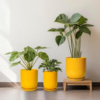 12 Inch Pots for Plants - Ceramic Planter for Outdoor Plants Large Plant Pot Indoor with Drainage Hole Modern Flower Pot for Home Patio Office Decor Yellow