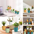 16 Pack 4 Inch Plastic Planter Pots with Tray, Heavy Duty Indoor Outdoor Planter Pots with 48 Drainage Holes for Herbs, Succulents, Seedlings, Flowers Durable and Lightweight Multicolour