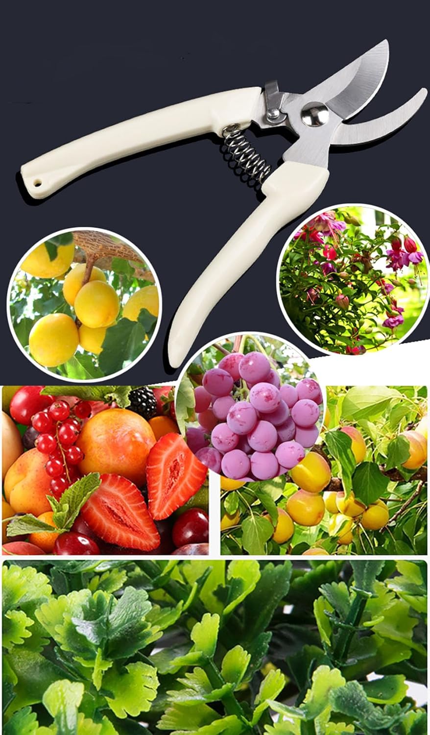 5pcs Garden Flower Shears Pruning Shears 6.9 inches Scissors Heavy Duty Plant Scissors for Cutting Flowers, Trimming Plants, Bonsai, Fruits Picking (White Handle 5pcs)
