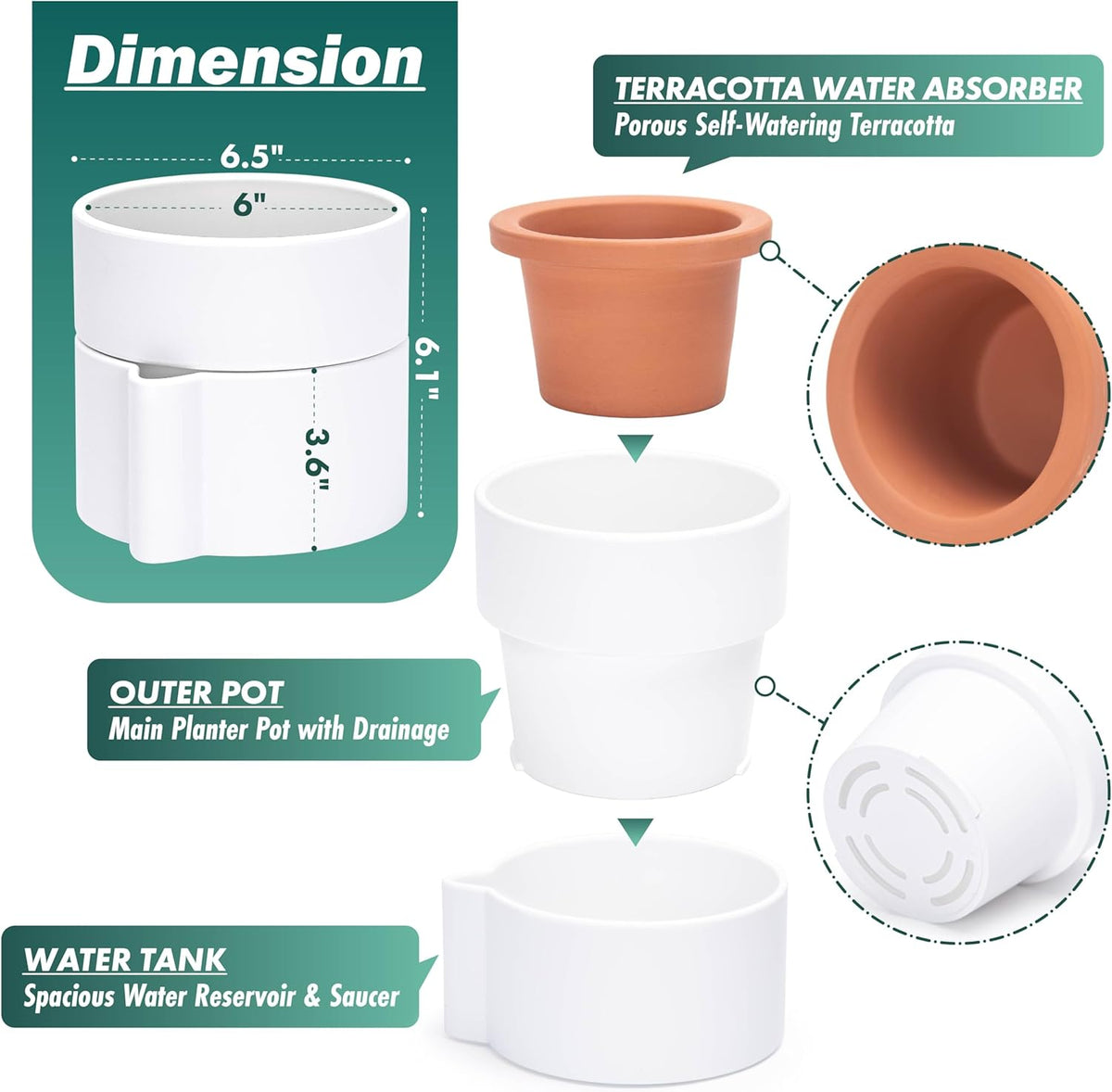 Phoenix Vine 6.5 Inch Self-Watering Planter Pot with Terracotta Insert, Deep Water Reservoir, and Ceramic-Alike BPA-Free Plastic Pot for Plant, Modern Planter for Houseplants, White, 53-A-S-1