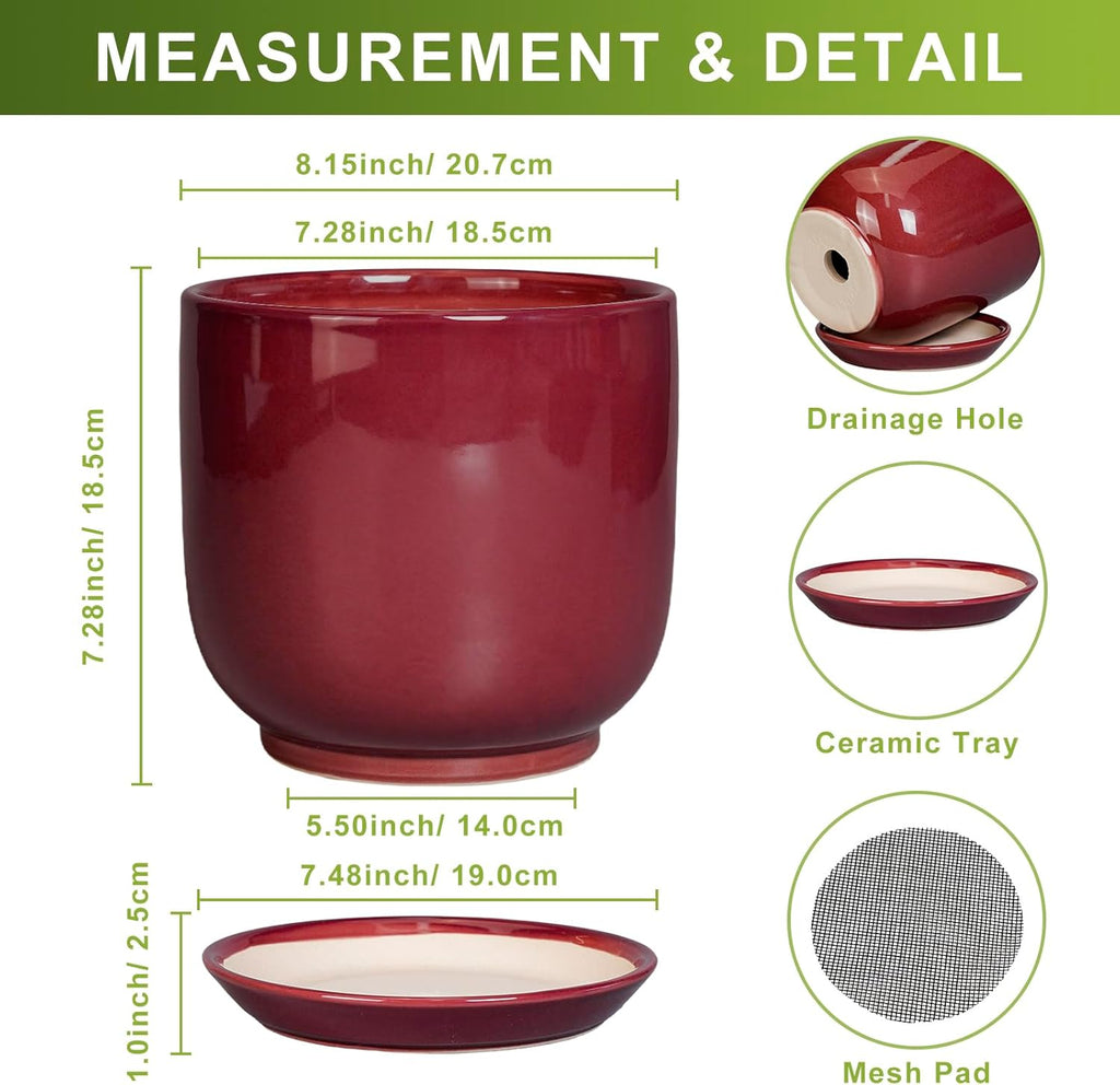Ceramic Flower Pot for Plants - Cylinder Modern 8 Inch Plant Pot Indoor with Drainage Hole and Saucer, Home Office Room Porch Decor, Red