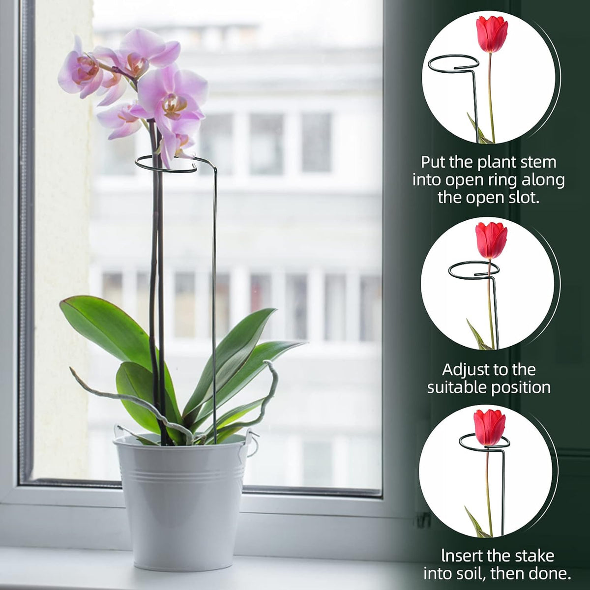 Green Metal Plants Support Stakes (Pack of 8), Garden Single Stem Plant Support Rod and Ring with 10 PCS Plant Clips, Plant Support and Clips Set - for Amaryllis, Rose, Tomato Seedling, Sapling