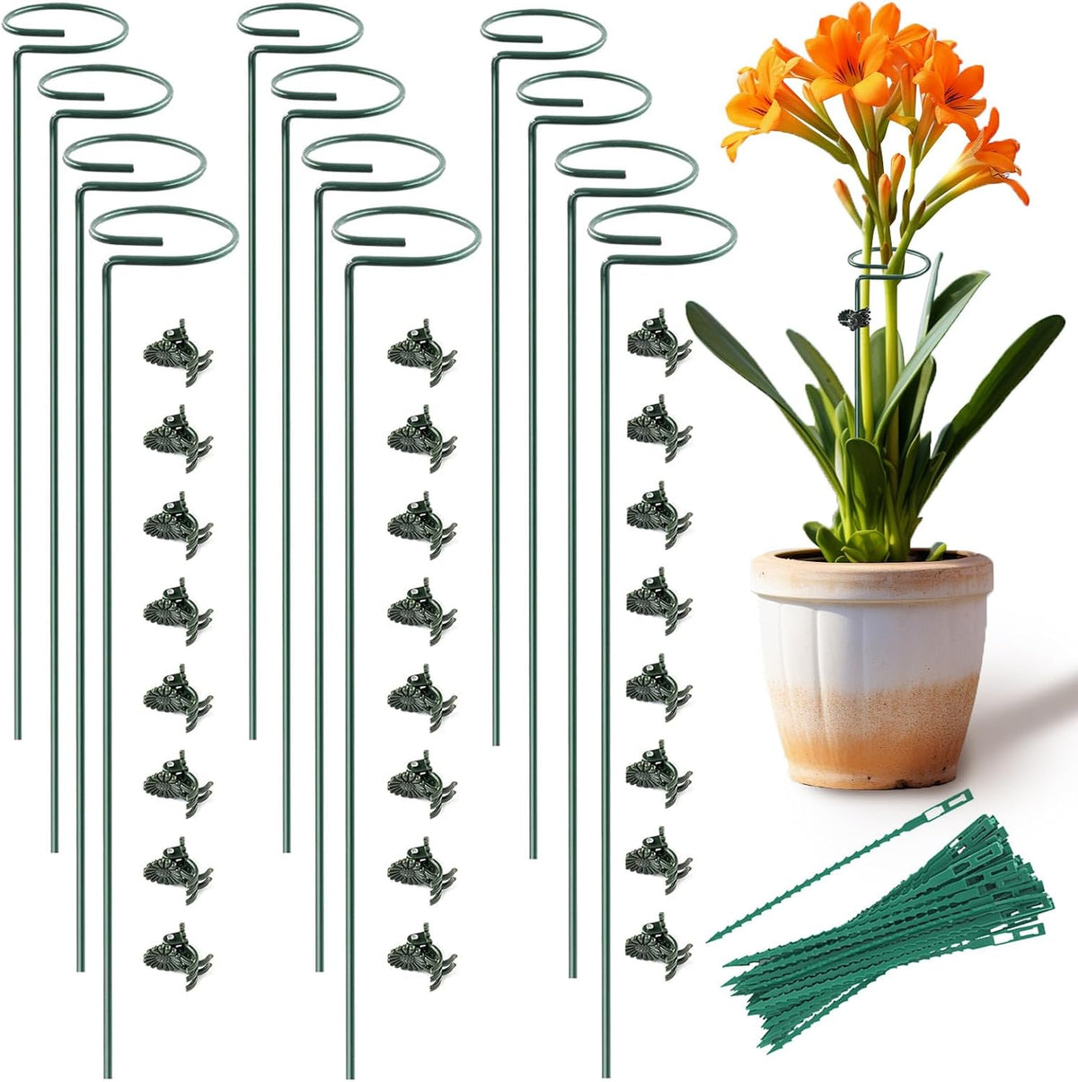 Plant Stake Support - 12 Pack, Garden Single Stem Support Stake Plant Cage Support Rings, Plant Support Stakes for Indoor Plants，for Flowers Phalaenopsis Rose (15.74 inch)