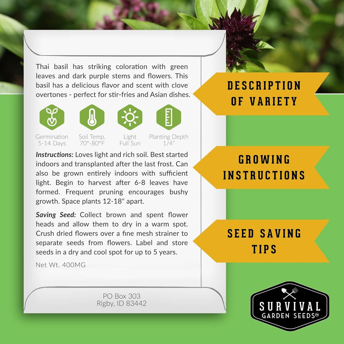 Survival Garden Seeds - Thai Basil Seed for Planting - 2 Packets with Instructions to Plant and Grow Asian Basil Indoors or Outdoors in Your Home Vegetable Garden - Non-GMO Heirloom Variety