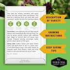 Survival Garden Seeds - Thai Basil Seed for Planting - 3 Packets with Instructions to Plant and Grow Asian Basil Indoors or Outdoors in Your Home Vegetable Garden - Non-GMO Heirloom Variety