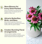 Eden Brothers Hawaii Wildflower Mixed Seeds for Planting, 1/4 lb, 120,000+ Seeds with Sunflower, Coneflower | Attracts Pollinators, Plant in Spring or Fall, Zones