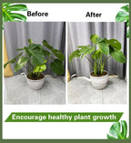 4PCS 6" Plant Stem Support,Stabilizer Grapple Holder for Monstera and Climbing Plants,Reusable Flower Plant Support,Leaf Stabilization and Support for Thriving Growth.