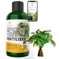 Professional Liquid Money Tree Fertilizer | 3-1-2 Concentrate for Plants and Flowers | Multi-Purpose Blend & Gardening Supplies | 8 oz Bottle