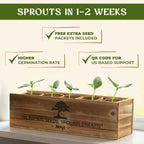 AVERGO Bonsai Tree Kit for Beginners – 5X Unique Japanese Bonzai Trees | Complete Indoor Starter Kit for Growing Bonsai Plants with Tools & Planters – Gardening Gifts for Women & Men