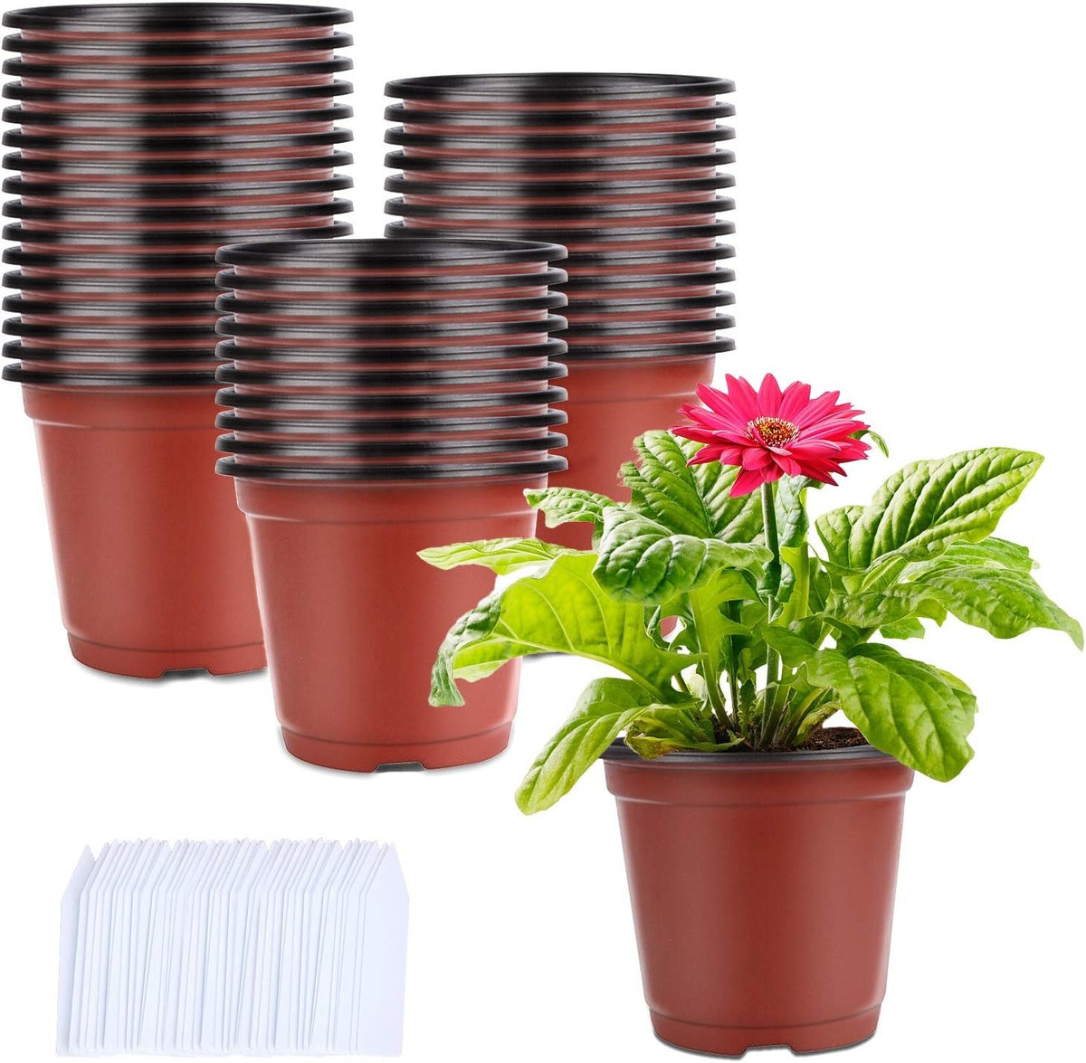Augshy 250-Pack 4 Inch Plant Nursery Pots Seed Starting Pots Containers with 300 Labels for Indoor Outdoor Usage