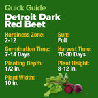 HOME GROWN Detroit Dark Red Beet Seeds 2 Pack(Beta vulgaris) 1000+𝗡𝗢𝗡-𝗚𝗠𝗢 𝗨𝗦𝗔 Heirloom Seeds with High Germination – Sweet,Nutrient-Rich Beets for Easy Planting in Garden Beds or Containers