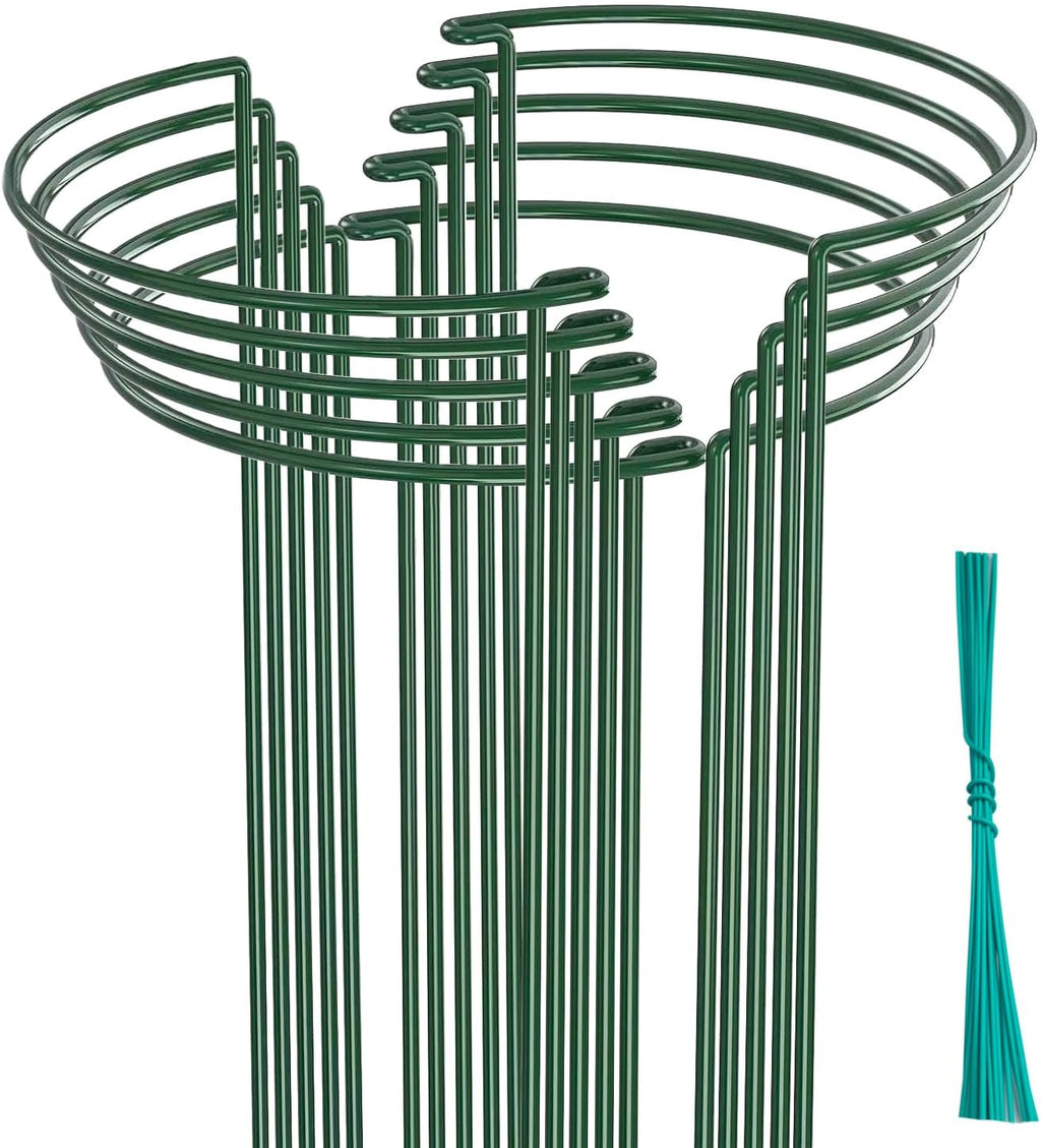 10 Pack Plant Support Stakes, 4 mm Thick 24 Inch Half Round Metal Garden Stakes, Plant Support Cages Ring for Peony Tomato Hydrangea Rose Flower Indoor Outdoor (10" Wide x 24" High)