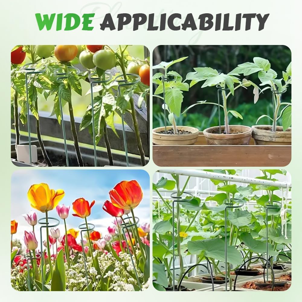 4/8/12 Pack Plant Stakes, 16/24/36 Inch Plant Support Stakes, 2025 New Plant Sticks Support, Flower Stakes for Plants Peony, Tomato Seedling, Marigold, Amaryllis, Sapling, Coreopsis (36 Inch-8 Pack)