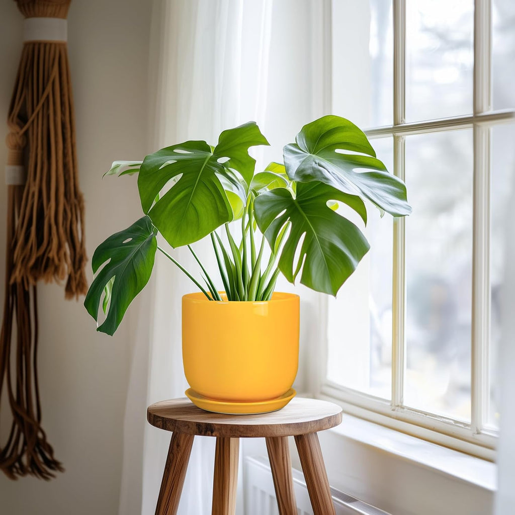 Indoor Plant Pot - 7 Inch Modern Round Ceramic Planter for Indoor Outdoor Plants with Drainage Hole and Saucer, Home Garden Office House Decor, Yellow
