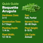 HOME GROWN Arugula Seed 2 Pack – 4350 𝗡𝗢𝗡-𝗚𝗠𝗢 𝗨𝗦𝗔 Vegetable Seeds – Ideal Seeds for Hydroponic Garden Indoor – Premium and Heirloom Arugula Seeds for Planting (Eruca vesicaria)