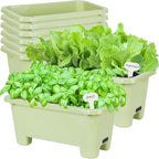 Oliz Self-Watering Rectangle Planter Boxes 8-Pack, 15.7-Inch Window Box Planter with Drainage Holes & Trays, Pots for Vegetables, Herbs, Flowers, Garden Windowsill Balcony (Light Green)