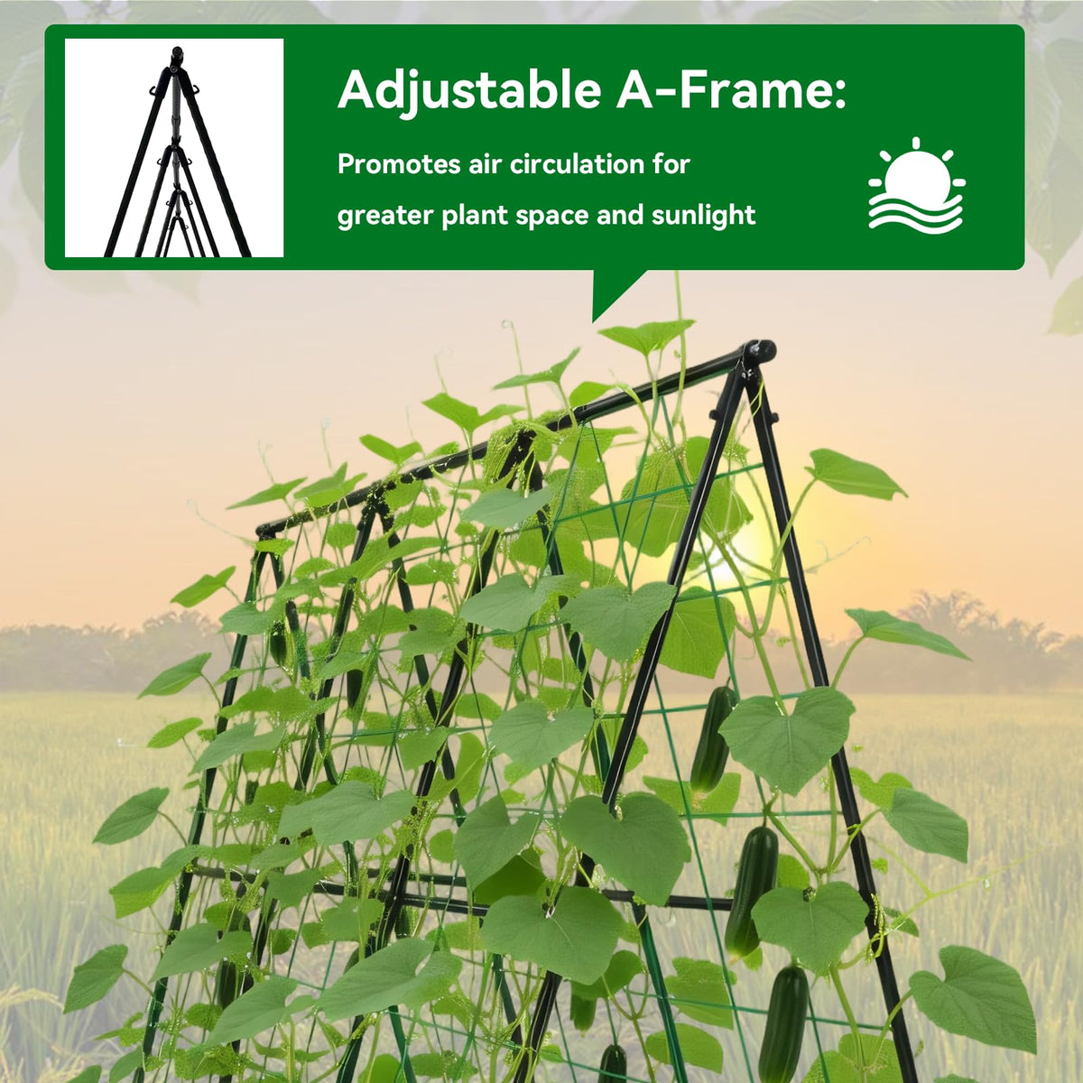 Trellume Cucumber Trellis - 49.4"*49.4" Metal Garden Trellis for Climbing Plants, Garden Trellis with Plastic-Coated Steel Pipe, A Frame Trellis for Cucumbers, Peas, Morning Glories(Black)