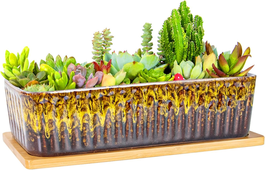 Succulent Pots - 12 Inch Large Succulent Planters with Drainage Tray, Window Sill Planter, Long Rectangle Ceramic Pots for Indoor Cactus Plants Shallow Bonsai Window Box for Home Garden Decor