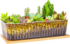 Succulent Pots - 12 Inch Large Succulent Planters with Drainage Tray, Window Sill Planter, Long Rectangle Ceramic Pots for Indoor Cactus Plants Shallow Bonsai Window Box for Home Garden Decor