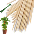 Bamboo Plant Stakes,HAINANSTRY Wood Plant Supports,Natural Bamboo Sticks for Plants/Floral/Potted Plant,Wooden Sign Posting Garden Sticks - 12 Inches 25 Pack
