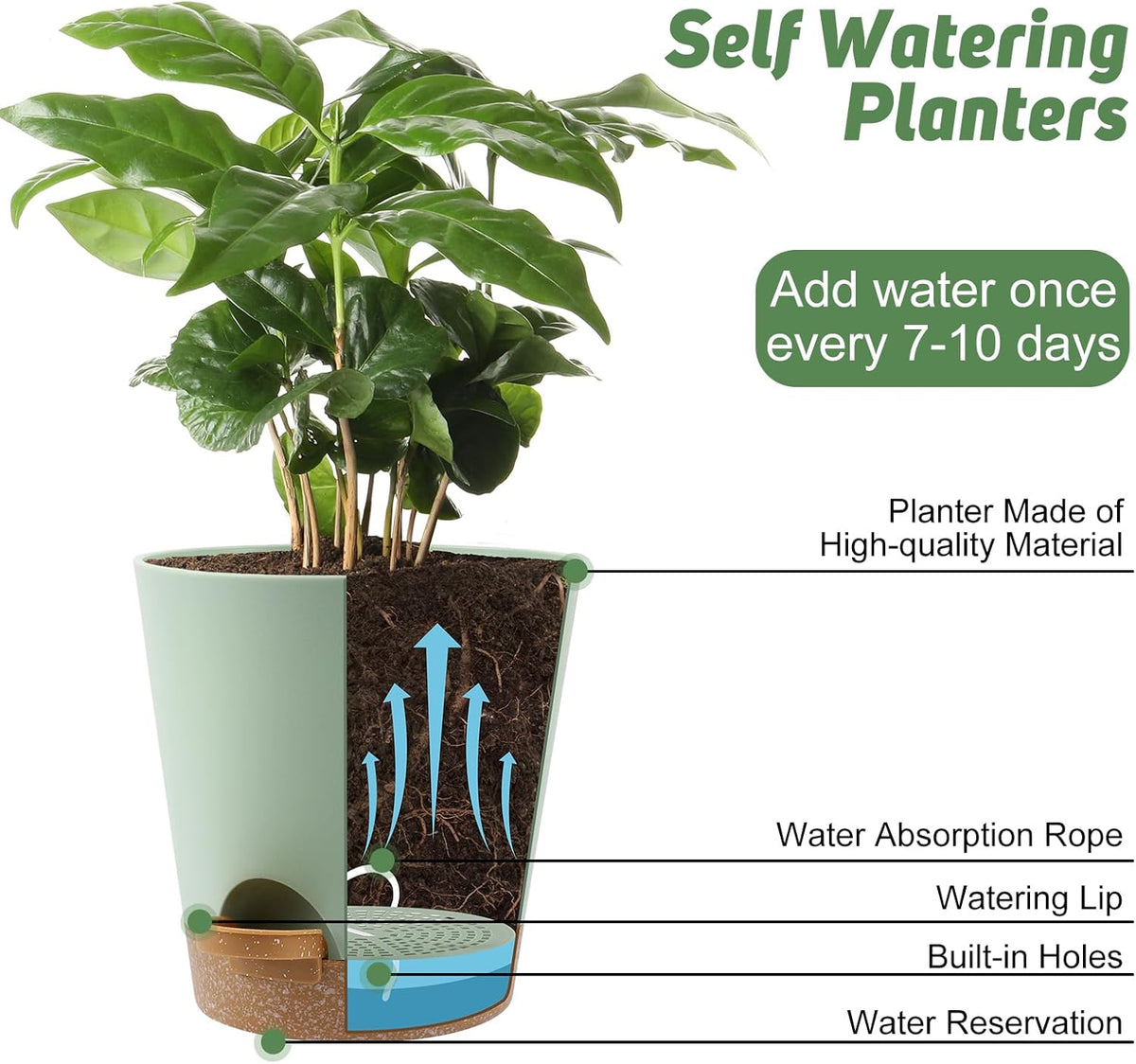 8-Inch Plant Pots, Self-Watering Planters with Drainage Holes & Saucers for Indoor and Outdoor Plants (2-Pack, Green)