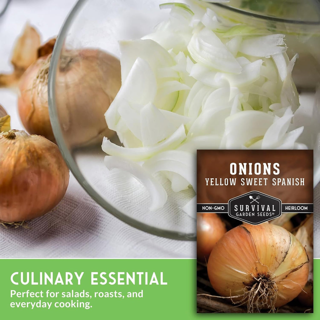 Yellow Sweet Spanish Onion Seed for Planting - 1 Packet with Instructions to Plant and Grow Long Day Onions in Your Home Vegetable Garden - Non-GMO Heirloom Variety - Survival Garden Seeds