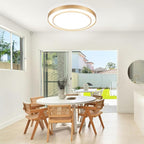 20 inch Flush Mount Ceiling Light Fixture LED 36W, Gold Dimmable Fixture Ceiling Mount Overhead, Modern Close to Ceiling Light 5CCT for Living Room,Kitchen, Bedroom