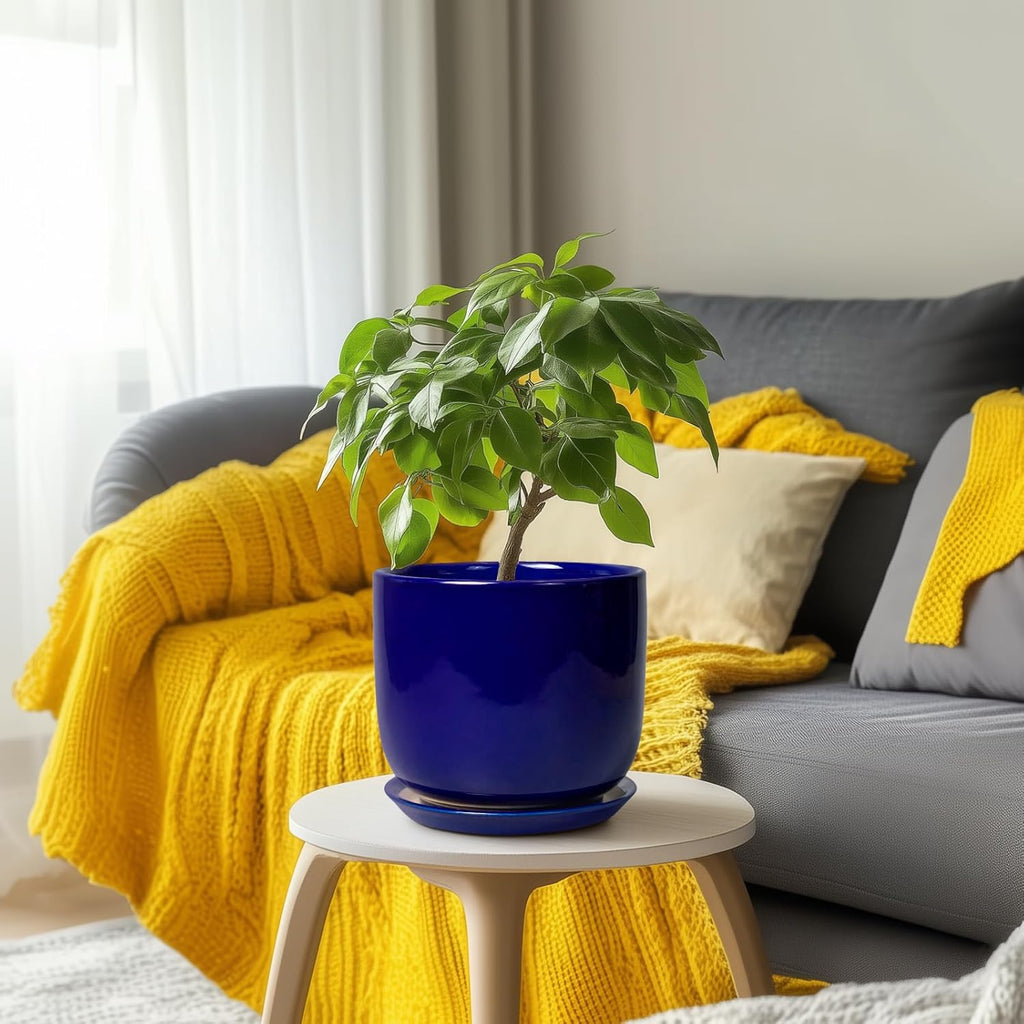 8 Inch Ceramic Plant Pot - Decorative Round Planter for Indoor Plants with Drainage Hole and Saucer, Home House Room Office Garden Decor, Blue