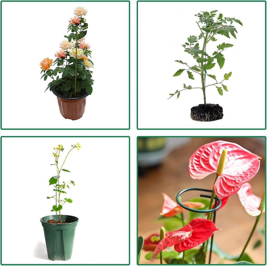 4 Pack Plant Stakes,Plant Support Stakes for Two Sizes(16 or 32 Inches),Plant Stakes for Outdoor Plants,Garden Flower,Tomato(Green)