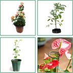 4 Pack Plant Stakes,Plant Support Stakes for Two Sizes(16 or 32 Inches),Plant Stakes for Outdoor Plants,Garden Flower,Tomato(Green)