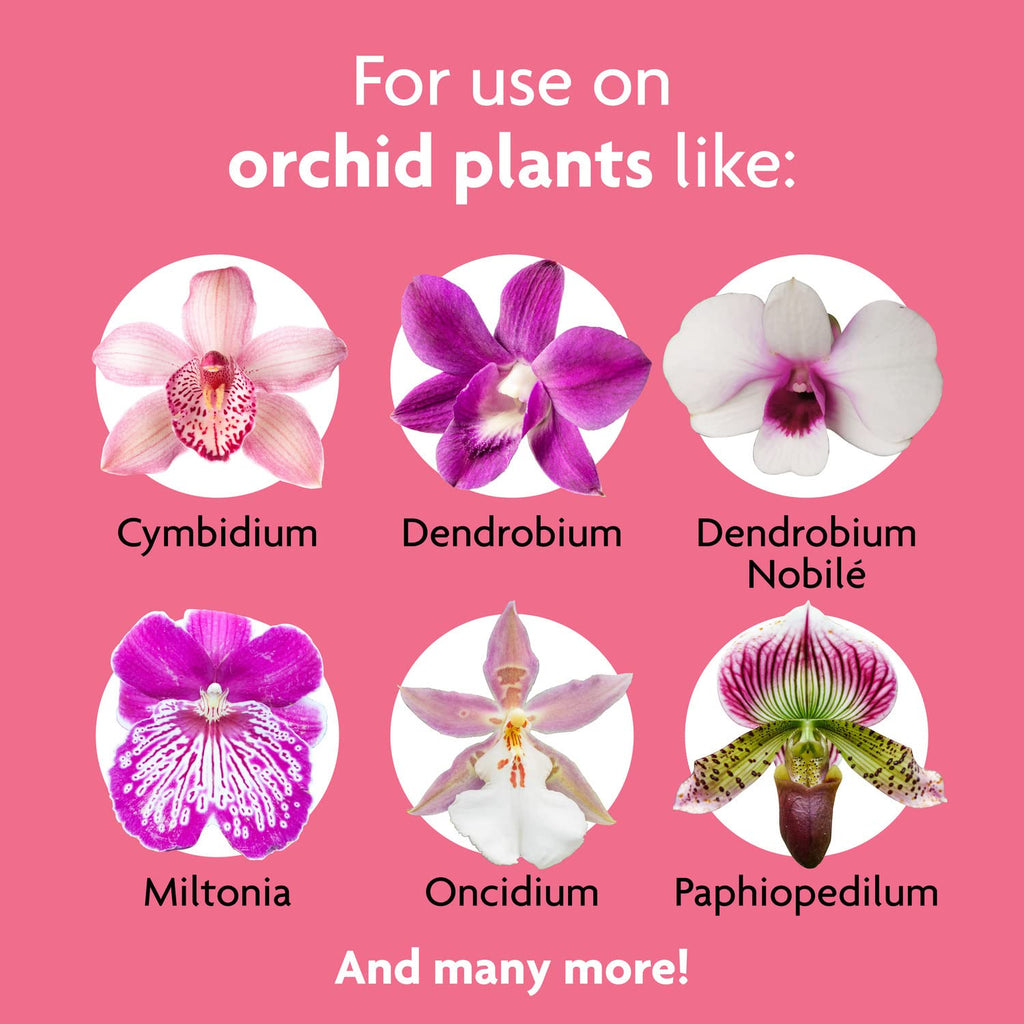 Miracle-Gro Ready to Use Orchid Plant Food Mist, Feeds All Types of Indoor Orchid Plants, 8 oz.