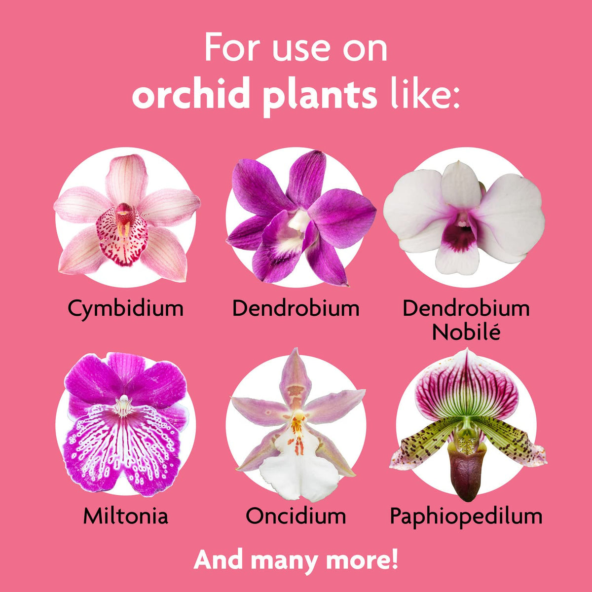 Miracle-Gro Ready to Use Orchid Plant Food Mist, Feeds All Types of Indoor Orchid Plants, 8 oz.
