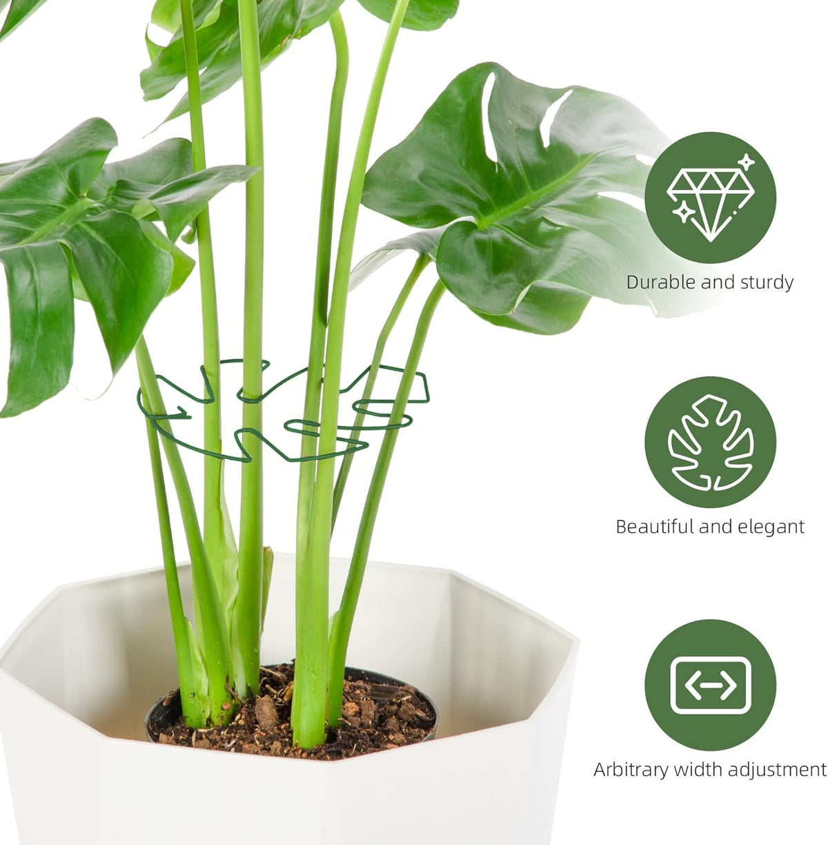 6PCS Iron Monstera Plant Support, Uniquely Designed Indoor Plant Accessories, Stable Plant Support Stakes for Indoor Plant, Turtle Shell Bamboo Clamp Set for Thriving Growth