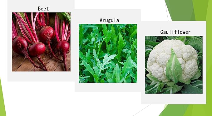 Premium Winter Vegetable Seeds Collection for Planting Organic Non-GMO Heirloom Seeds Radish, Pea, Broccoli, Beet, Carrot, Cauliflower, Green Bean, Kale, Arugula, Gardner and Chef Favorites