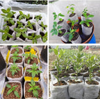 100Pcs Nursery Growing Bags,Non-Woven Fabric Seedlings Grow Bag for High Seedling Survival Rate,Plant Bags for Planting,Garden Seed Starters Pouch Small（4.2"x4.2"）