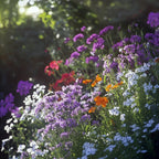 Ferry-Morse Knee-High Mix Bulk Wildflower Seeds, 1lb
