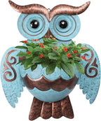 Metal Wall Planter Owl Wall Mounted Planters Small Flower Pot with Drainage for Indoor Outdoor Farmhouse Hanging Planter Succulent Plant Container Vertical Garden Yard Decor