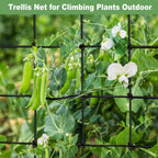 Scrog net 4x4 Trellis Net for Grow Tent,Heavy Duty Elastic Trellis Net with Hooks for Indoor Plant Growing Tents Garden Plant Net