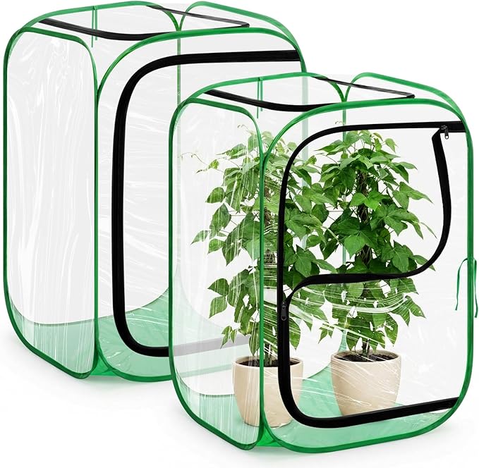 2 Pack Pop up Plant Enclosure Cover Foldable Clear PVC Mini Greenhouse for Freeze Protection with Zipper Door 24 x 24 x 36 Inch Garden Plant Cover Protect Fruit Vegetable Fruit from Bird Pest