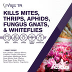 Atticus Pyrus TR Greenhouse Fogger (12 Pack) - Total Release Pyrethrin Insecticide/Miticide - Controls Mites, Thrips, Aphids, Whiteflies, Fungus Gnats (Packaging May Vary)