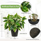 Artificial Plants Indoor Small Fake Plants in Pots Faux Pothos N‘ Joy Potted Plant Fake Indoor Plants with Black Pots for Bathroom Living Room Office Desk Shelves